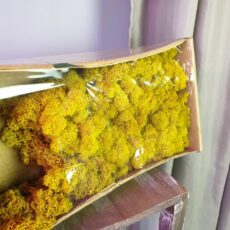 Мох стабилизированный (ягель), Цвет зеленовато-желтый