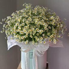 Композиция №59