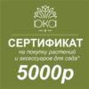 Подарочный сертификат 5000р