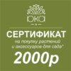 Подарочный сертификат 2000р