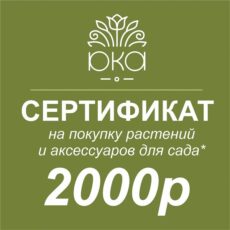 Подарочный сертификат 2000р
