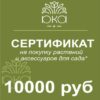 Подарочный сертификат 10000р