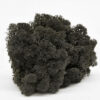Мох стабилизированный (ягель), Цвет черный