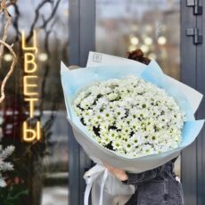Букет №312, (Хризантема кустовая "Ромашка", 31шт)