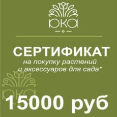Подарочный сертификат 15000р