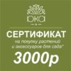 Подарочный сертификат 3000р