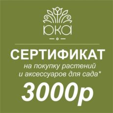 Подарочный сертификат 3000р