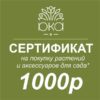 Подарочный сертификат 1000р