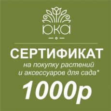 Подарочный сертификат 1000р