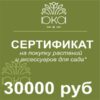 Подарочный сертификат 30000р