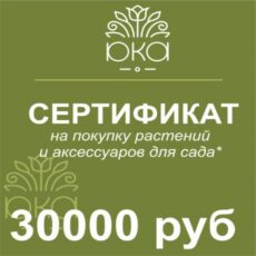 Подарочный сертификат 30000р