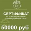 Подарочный сертификат 50000р
