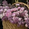 Композиция №138