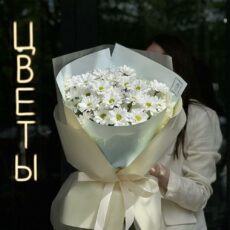 Букет №225, (хризантема кустовая "Ромашка" 5шт)