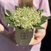 Композиция №151
